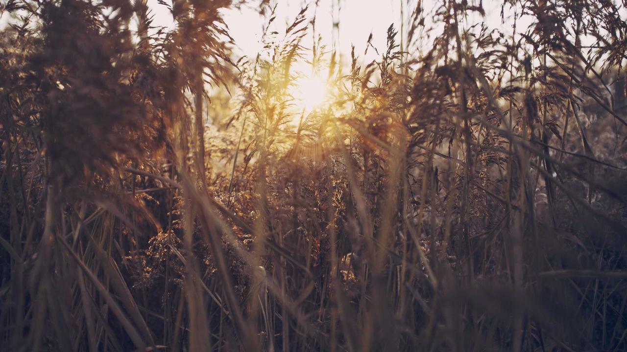 开运体育介绍 - 开运体育app官网app 入口